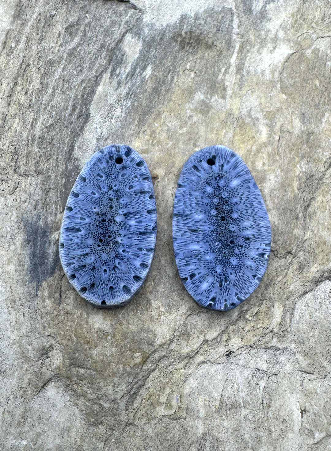 Natural Blue Sponge Coral Matching Earing Slab Bead Pair