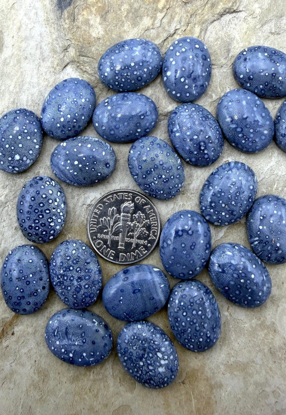 Natural Blue Sponge Coral Oval Calibrated 12x16mm Cabochons
