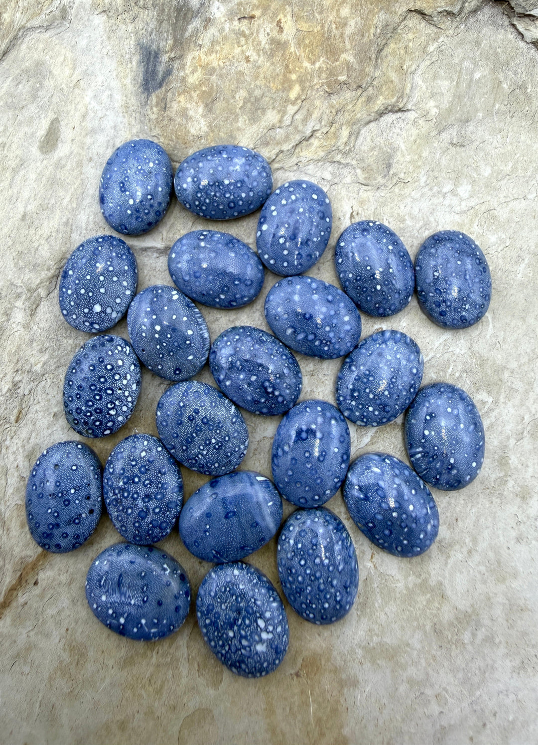 Natural Blue Sponge Coral Oval Calibrated 12x16mm Cabochons