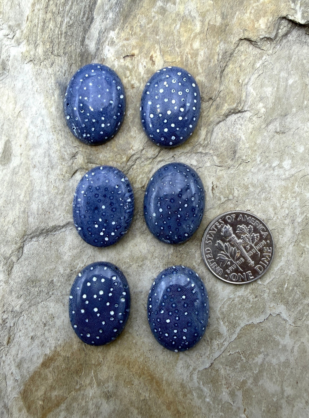 Natural Blue Sponge Coral Oval Calibrated 15x20mm Cabochons
