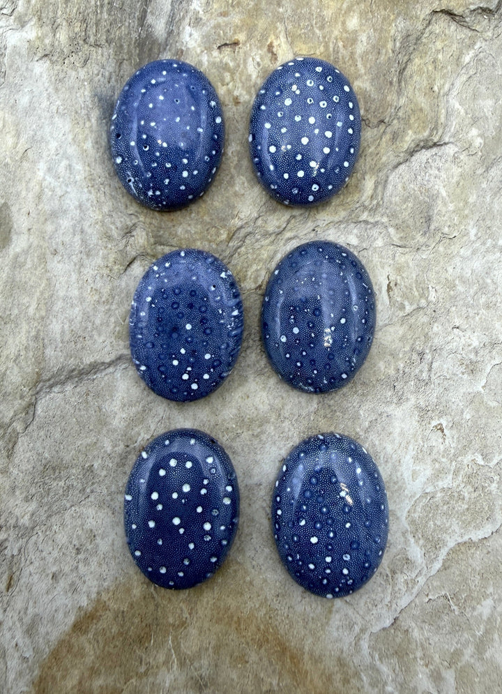 Natural Blue Sponge Coral Oval Calibrated 15x20mm Cabochons