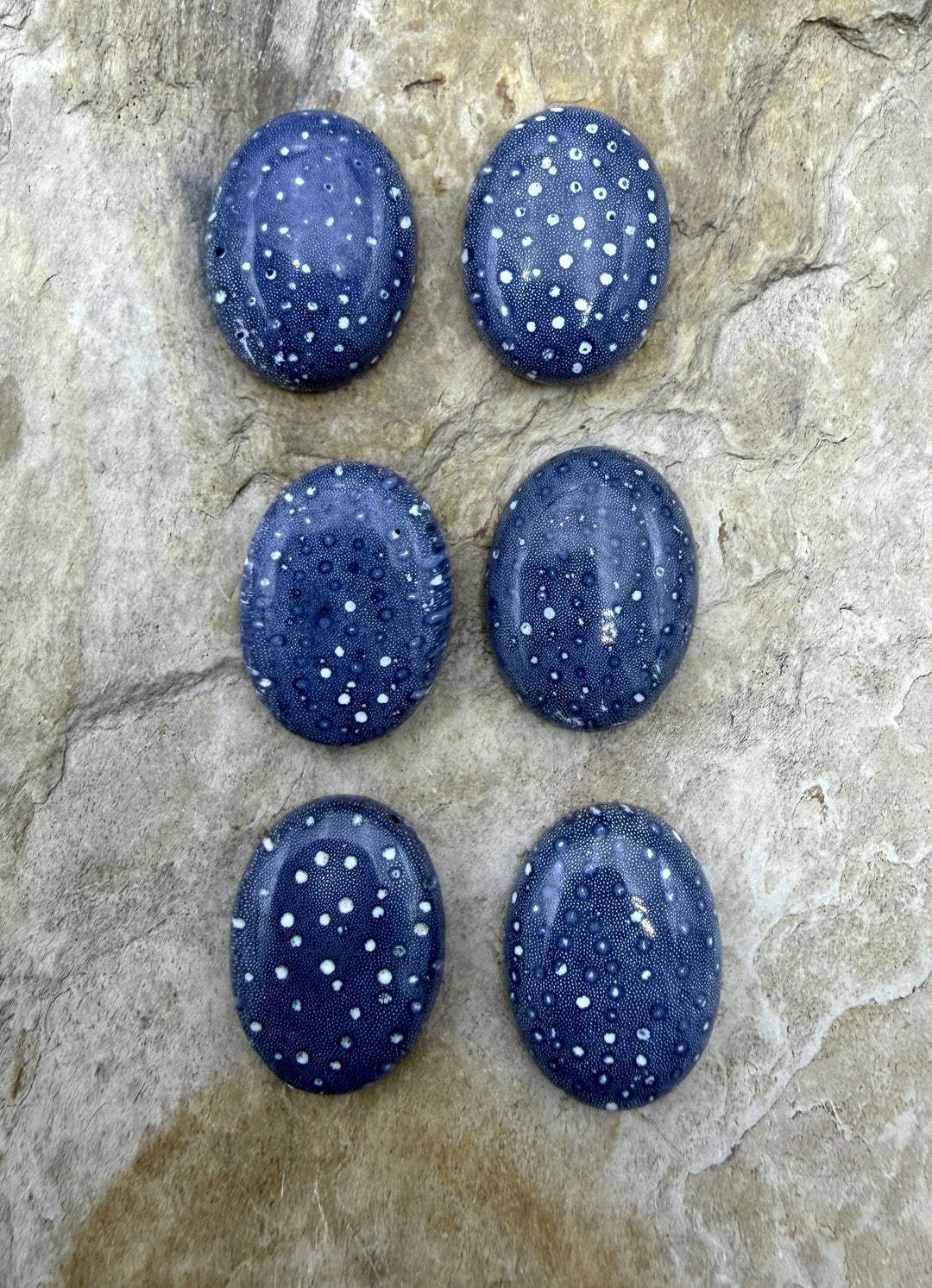 Natural Blue Sponge Coral Oval Calibrated 15x20mm Cabochons
