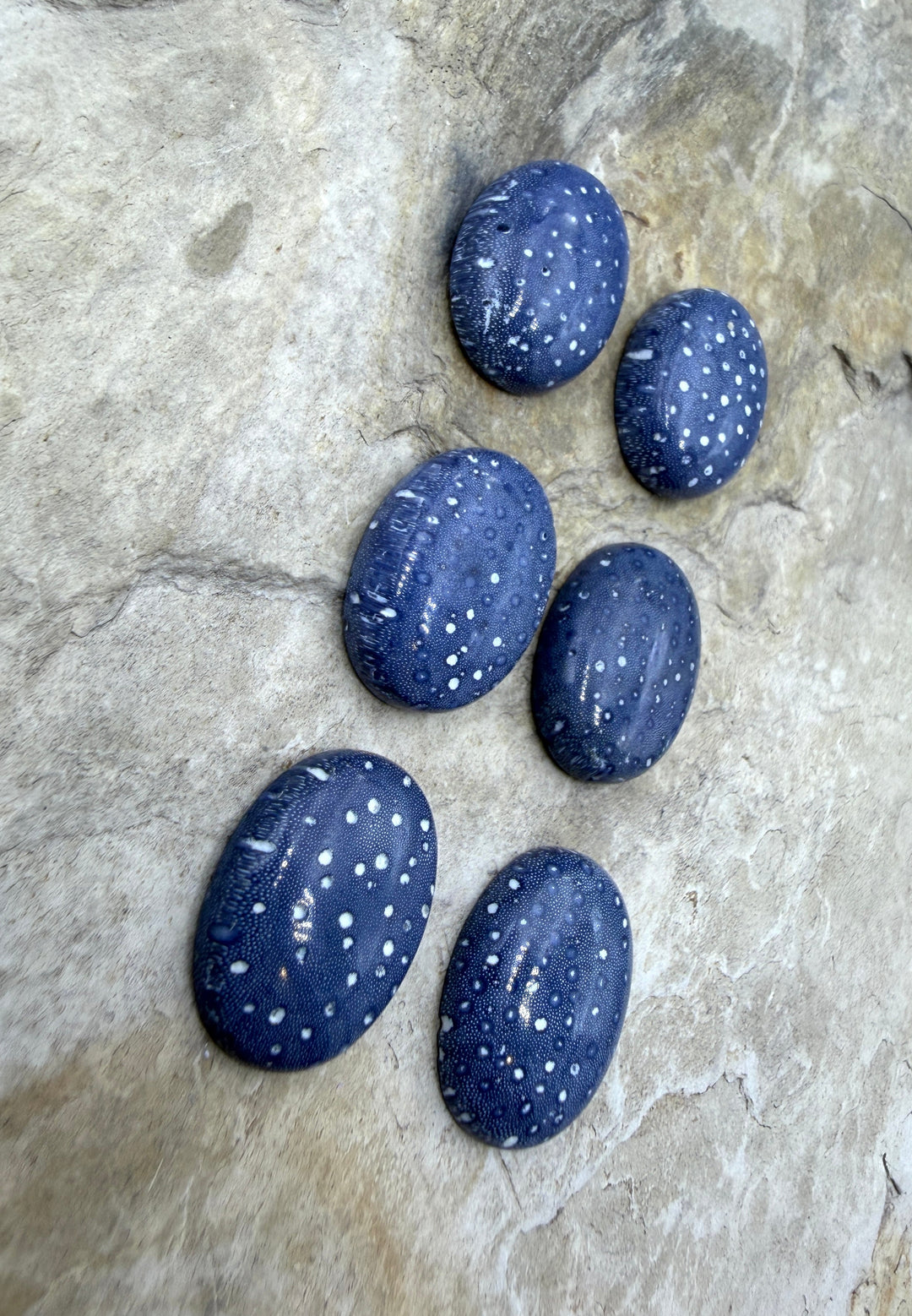 Natural Blue Sponge Coral Oval Calibrated 15x20mm Cabochons