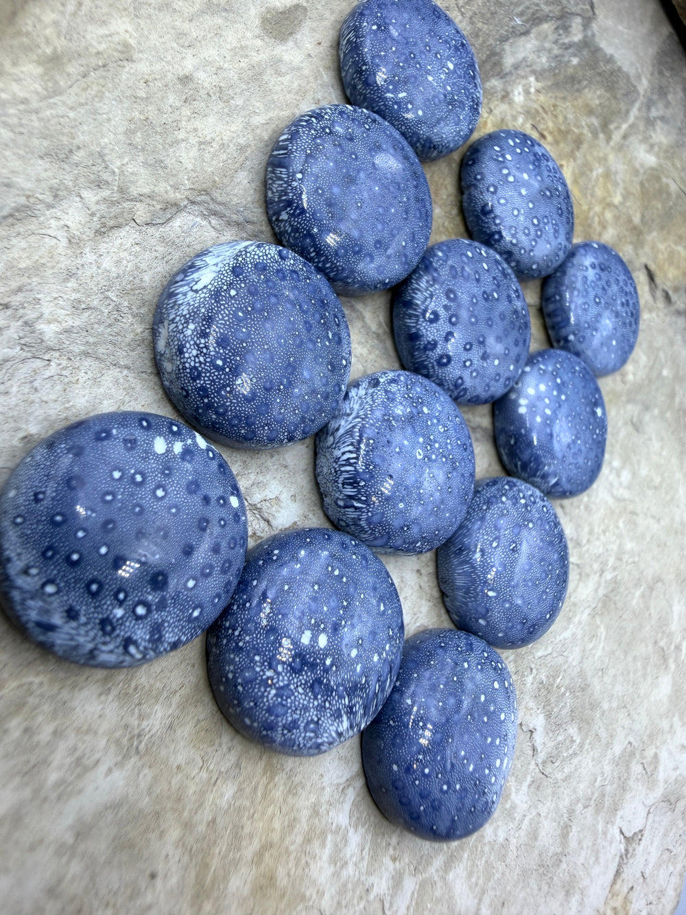 Natural Blue Sponge Coral Round Calibrated 18mm Cabochons