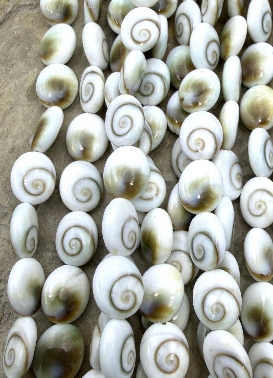 Natural Center Cut Shiva Shell Oval Beads 8x10mm 16 Inch