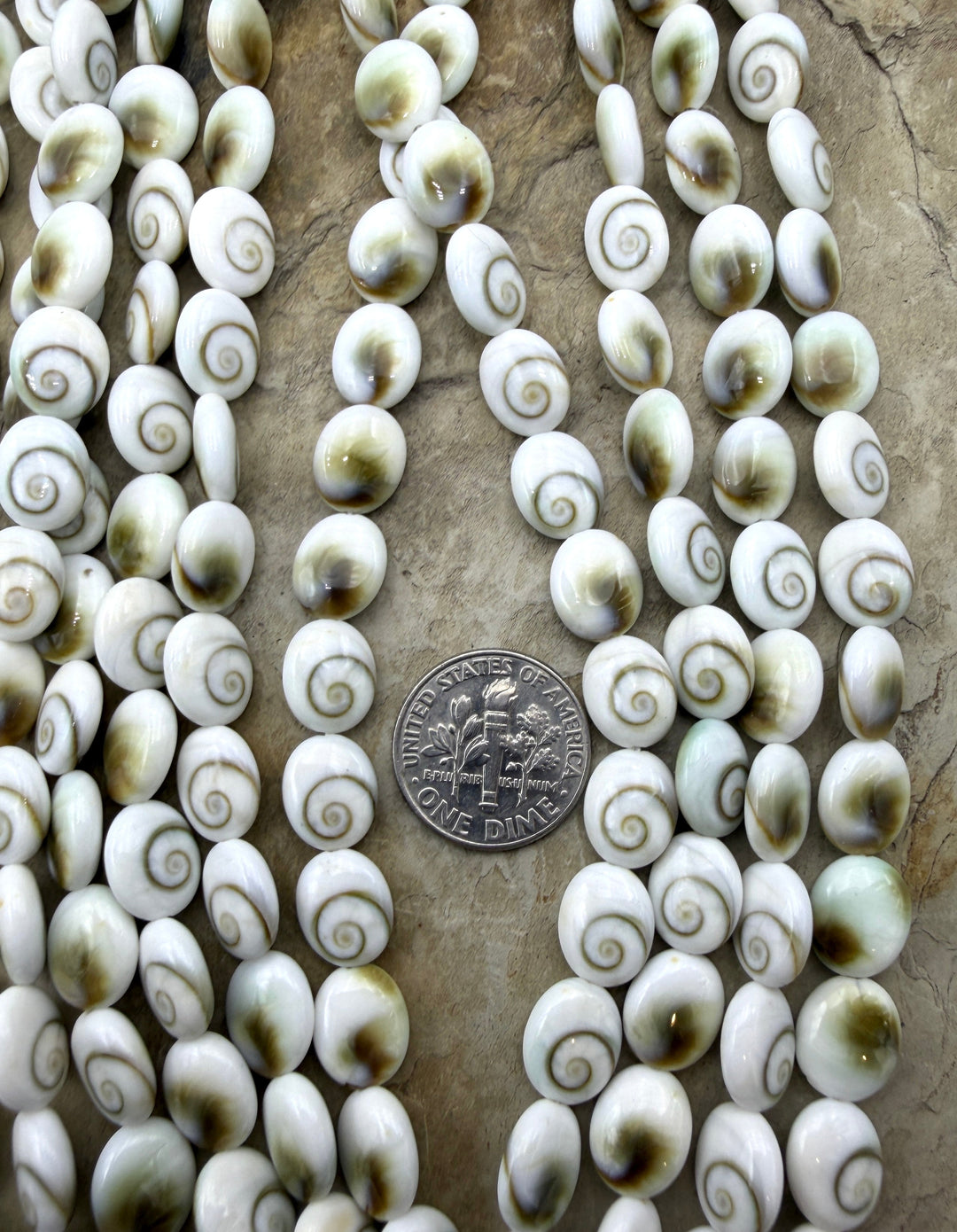 Natural Center Cut Shiva Shell Oval Beads 8x10mm 16 Inch