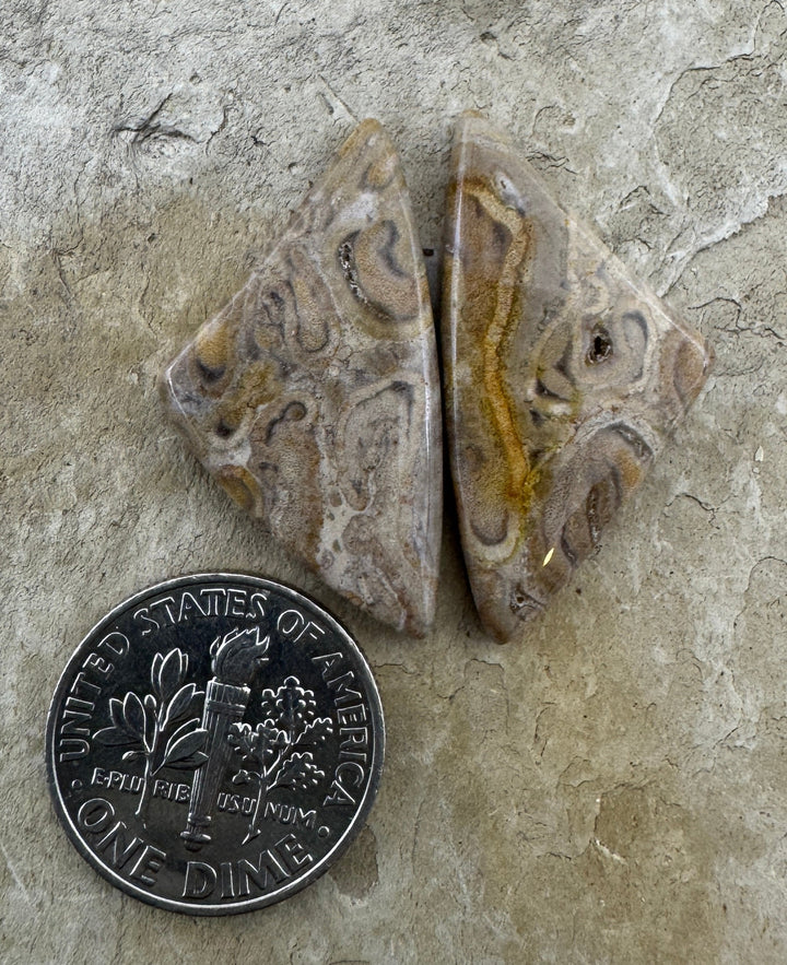 Natural Fossilized Tree Fern Cabochon Pair 15x29mm