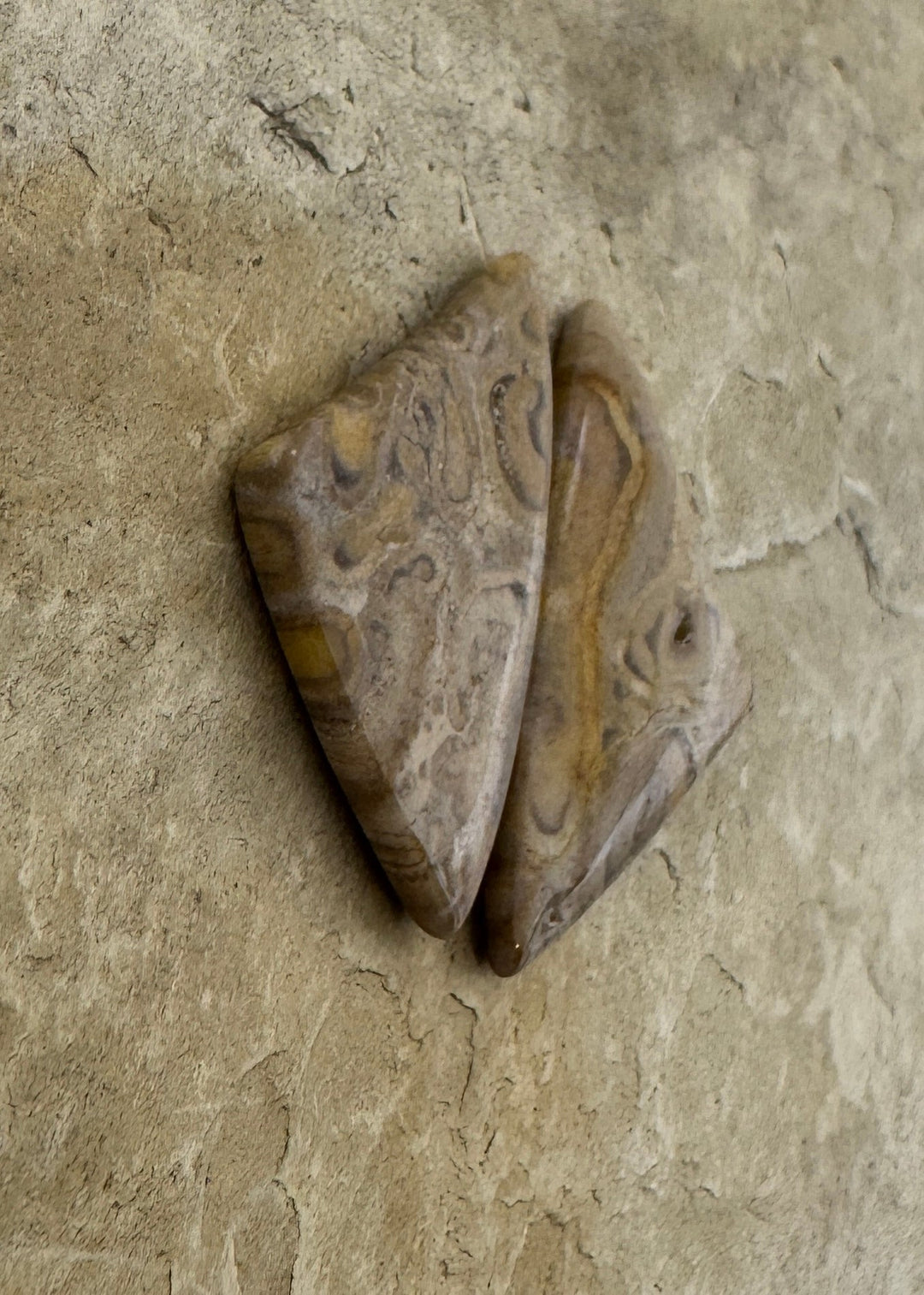 Natural Fossilized Tree Fern Cabochon Pair 15x29mm