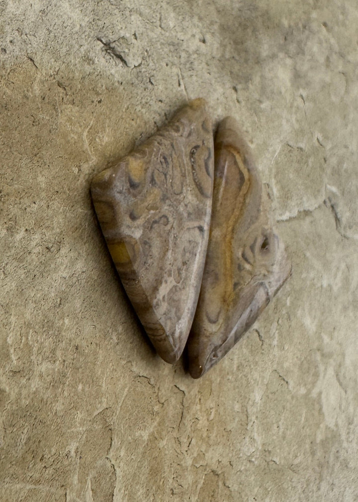 Natural Fossilized Tree Fern Cabochon Pair 15x29mm