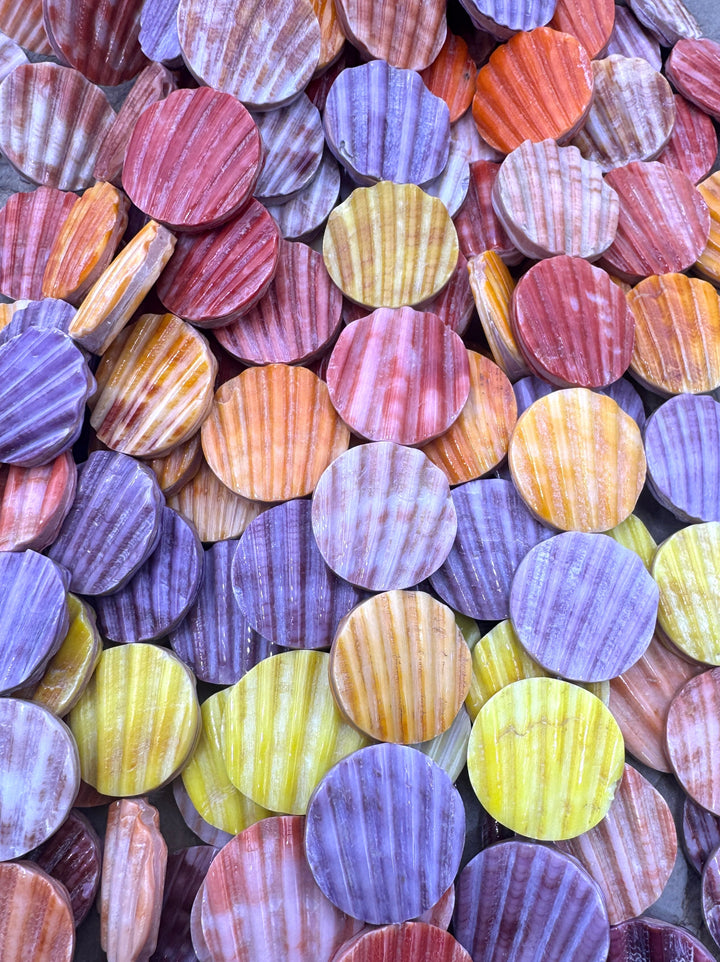 Natural Pecten Shell 19mm Coin Beads 8 inch Strand/10 Beads
