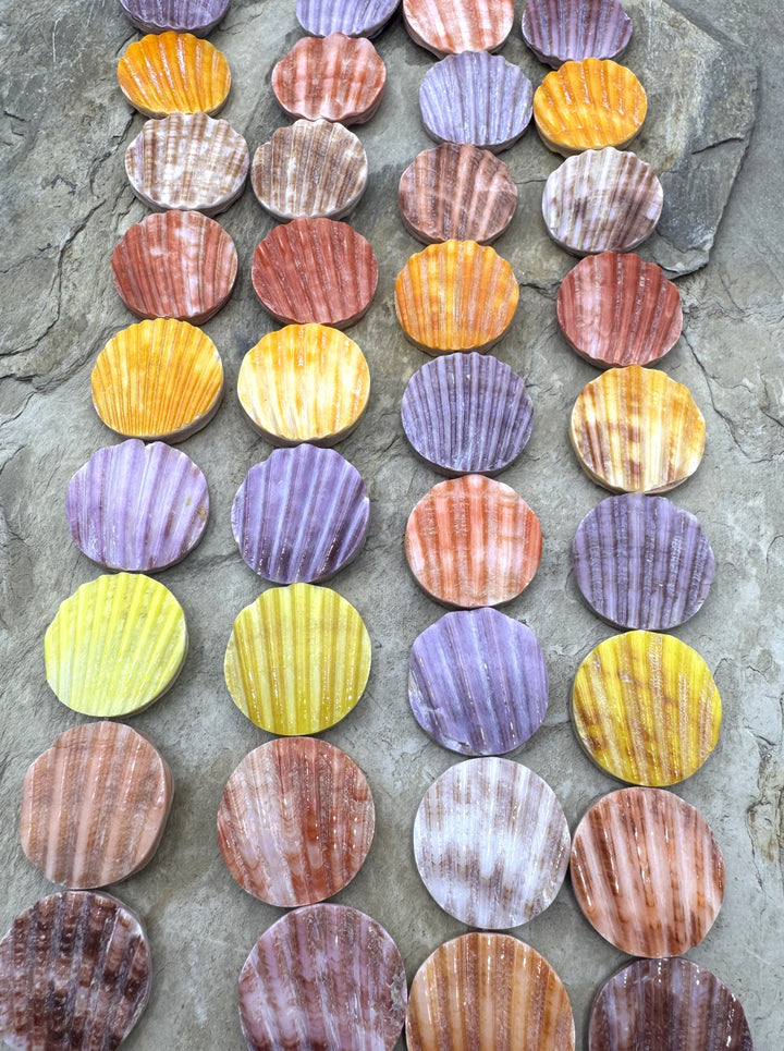 Natural Pecten Shell 19mm Coin Beads 8 inch Strand/10 Beads