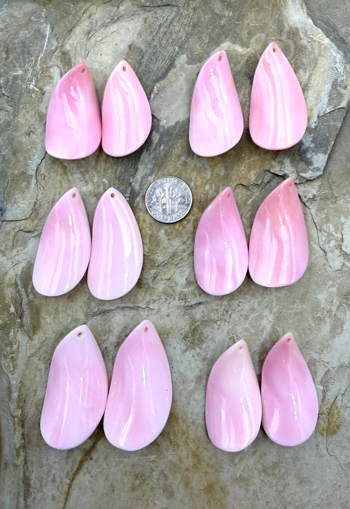 Natural Pink Queen Conch Earring Pairs 17x35-18x40mm