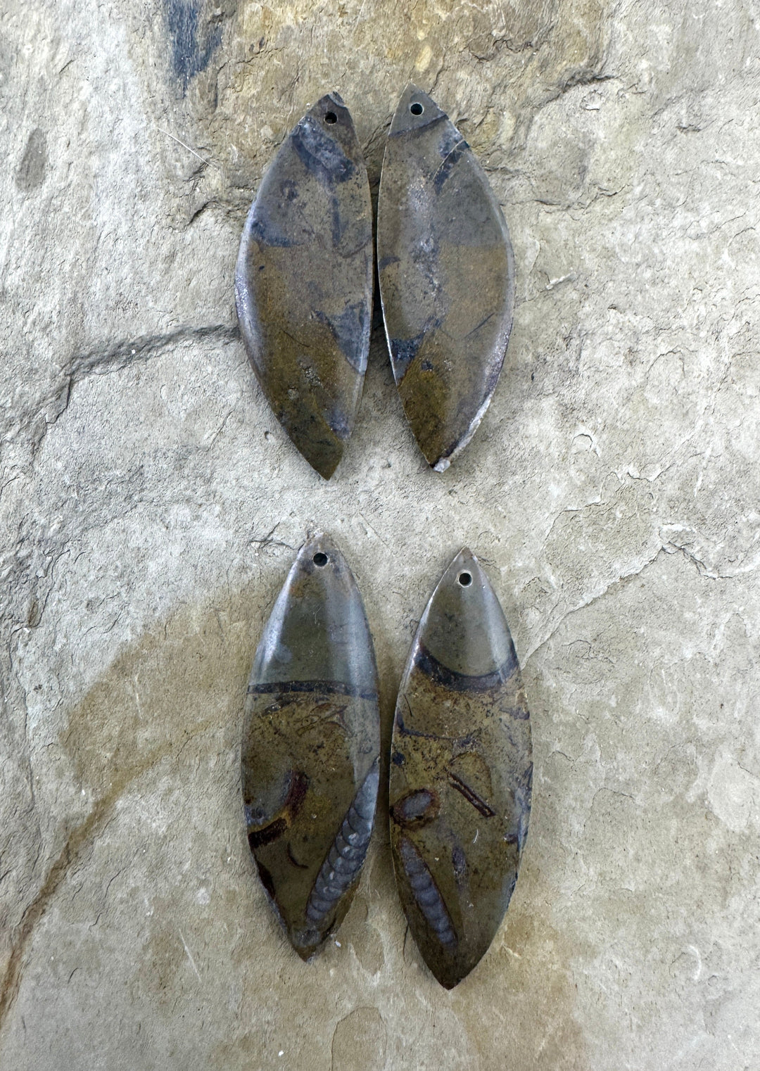 Natural Stone with Fossil Earring Slab Bead Pair Select