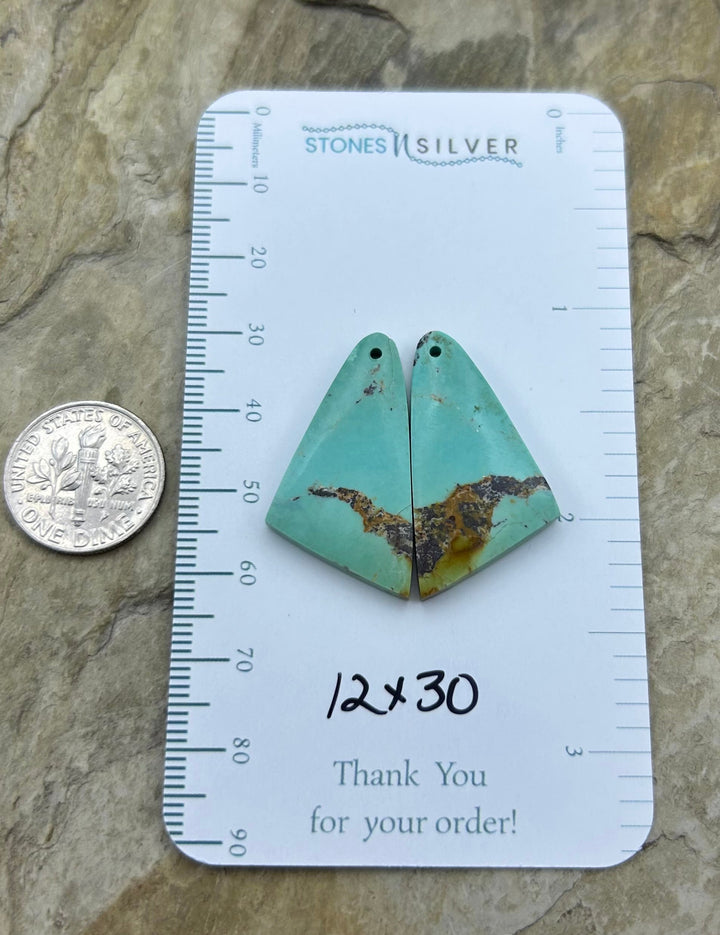 OLD STOCK Kingman Turquoise (Arizona) Matching Earring Slab