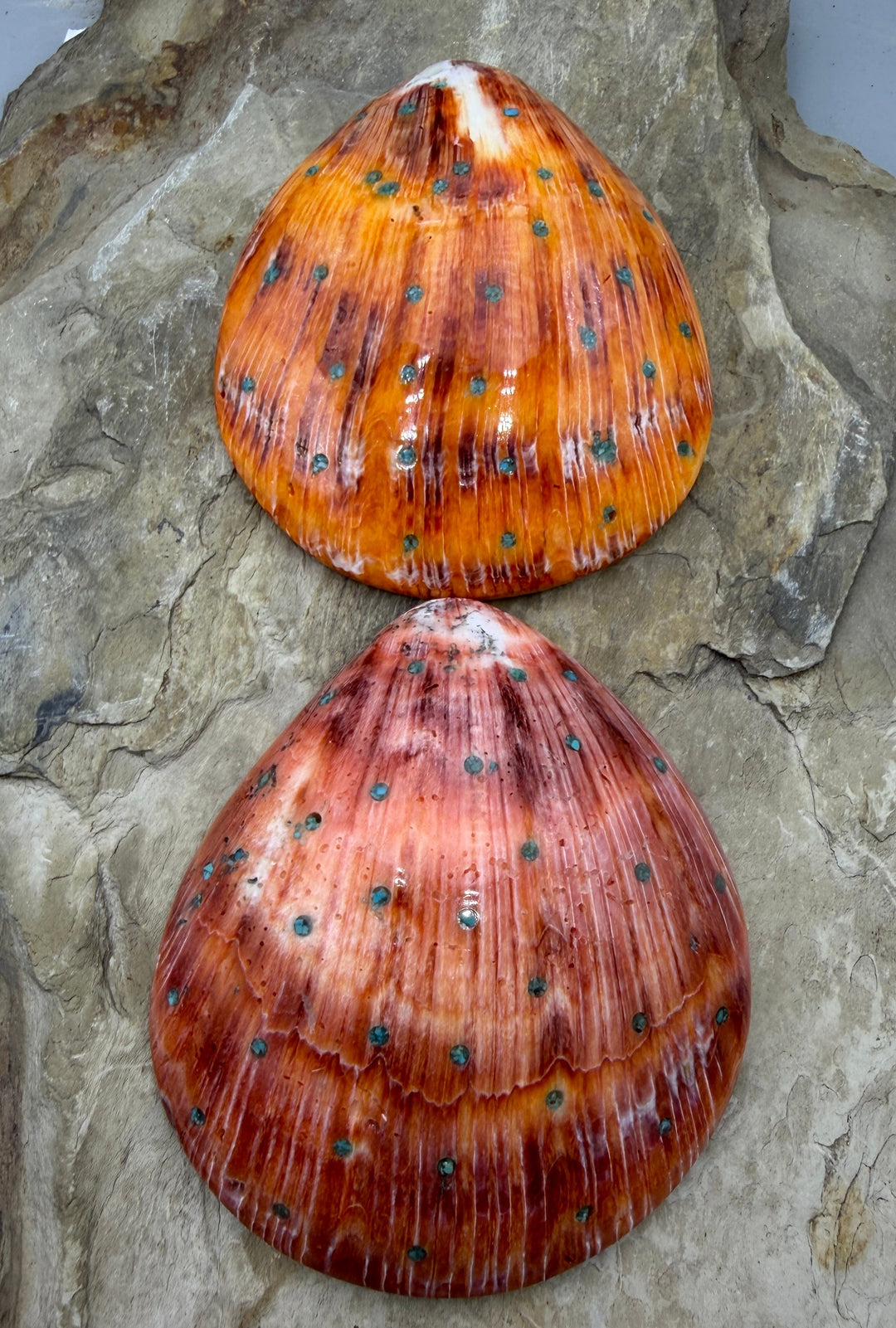 Orange/Red Spiny Oyster with Turquoise Inlay HUGE Focal