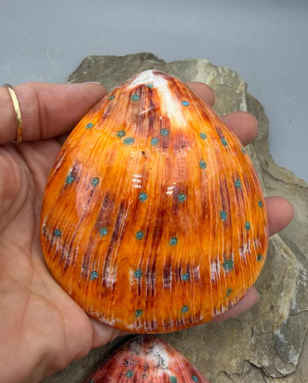 Orange/Red Spiny Oyster with Turquoise Inlay HUGE Focal