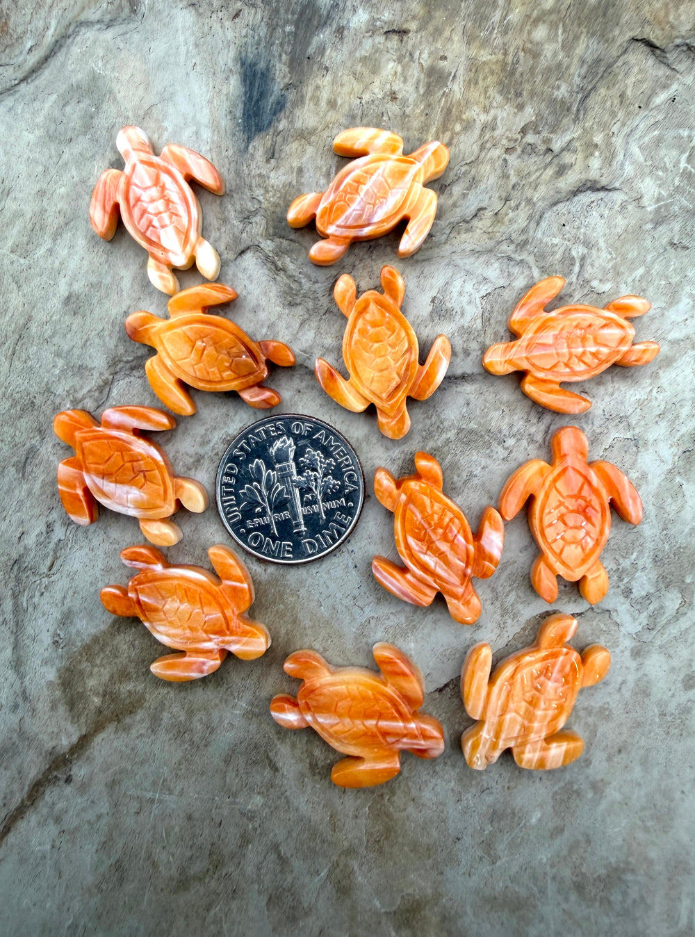 Orange Spiny Oyster Shell Carved Turtle Beads 15x20mm