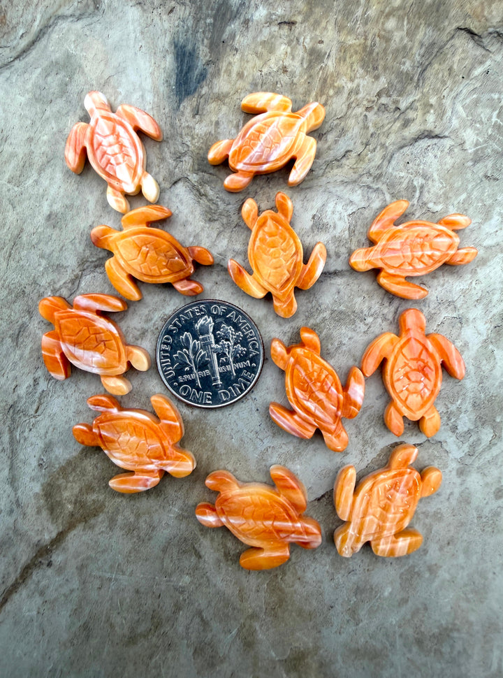 Orange Spiny Oyster Shell Carved Turtle Beads 15x20mm