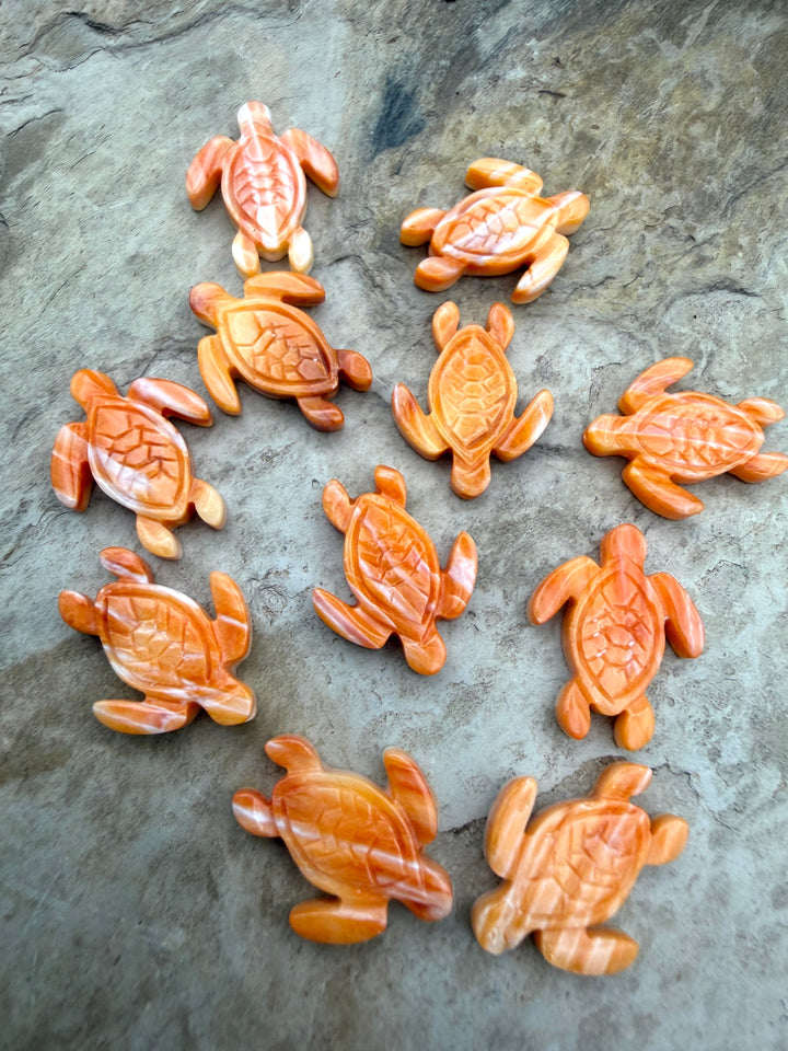 Orange Spiny Oyster Shell Carved Turtle Beads 15x20mm