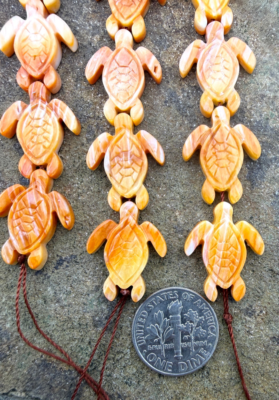 Orange Spiny Oyster Shell Turtle Beads 15x20mm Strand of 5