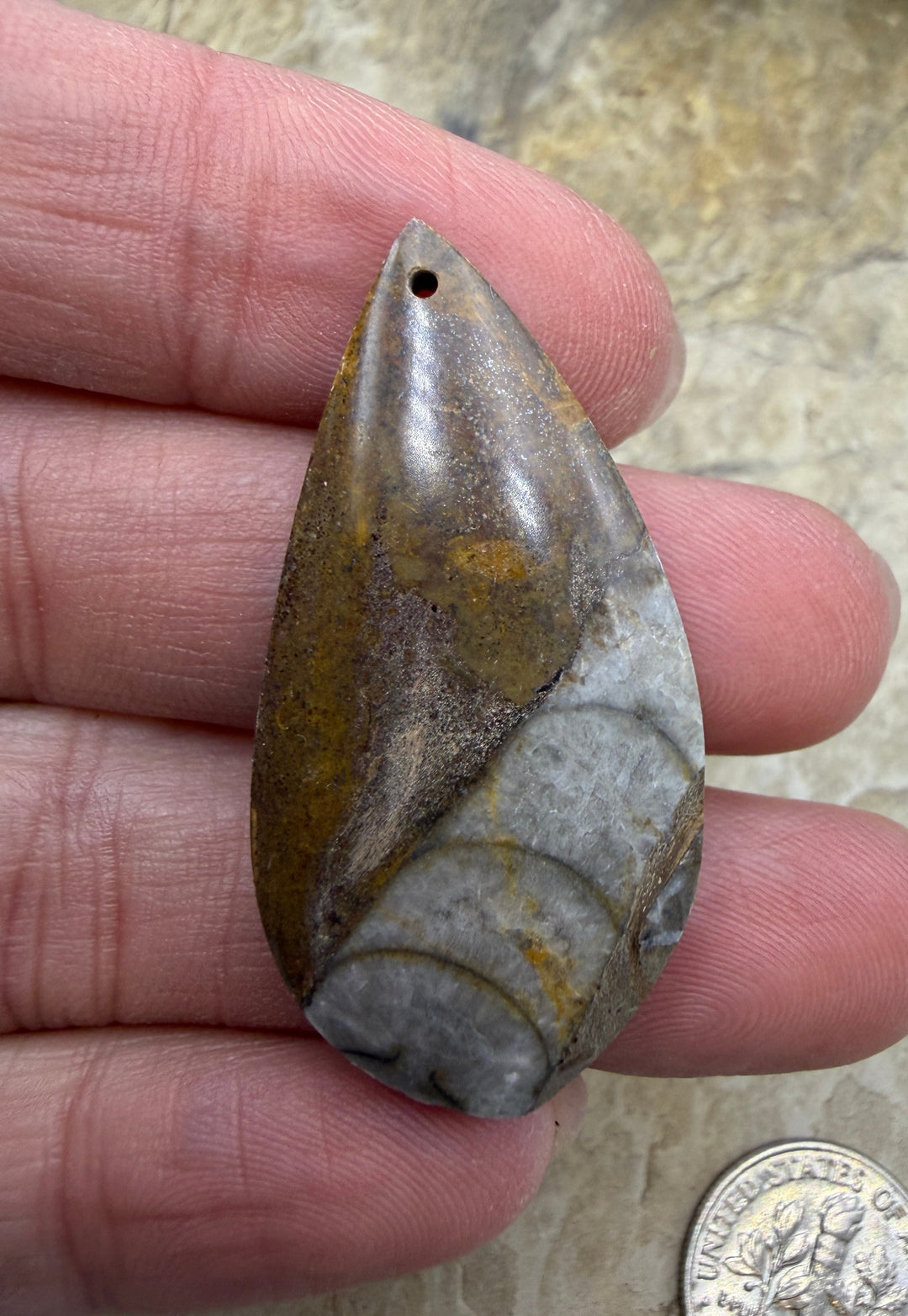 Orthoceras Fossil Stone Focal Pendant Bead 20x41mm