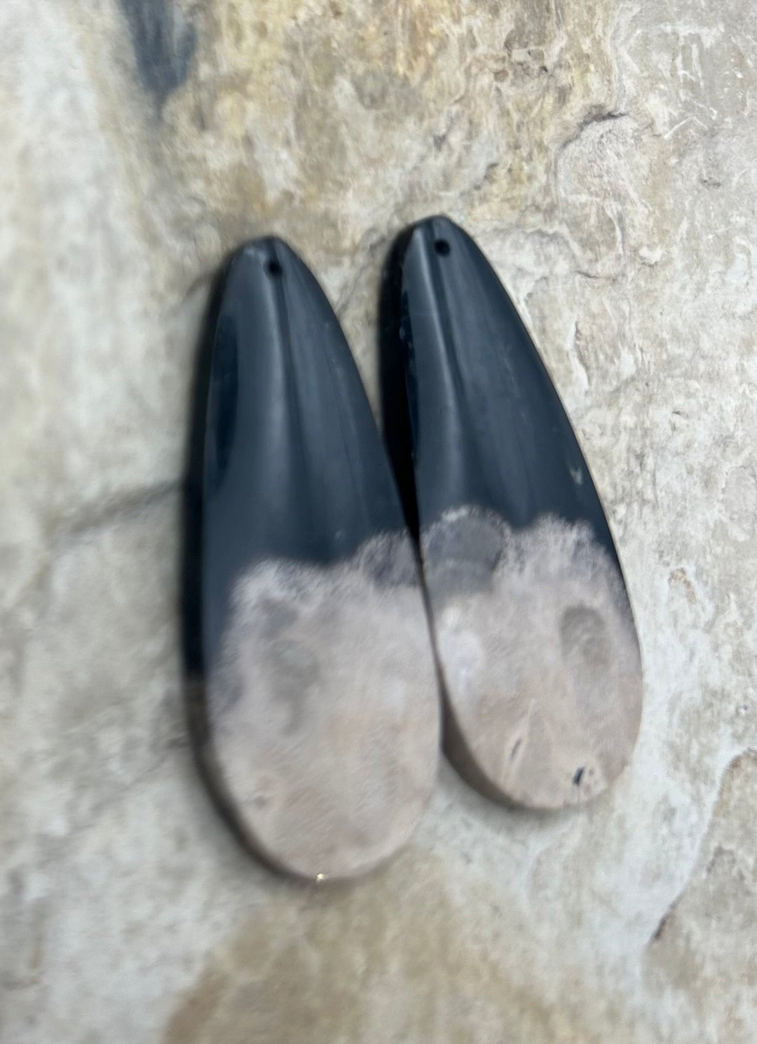 Petrified Palm Root (Indonesia) BIG Matching Earring Slab
