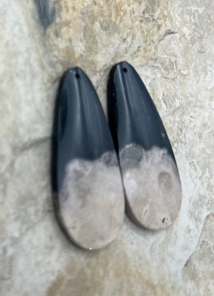 Petrified Palm Root (Indonesia) BIG Matching Earring Slab