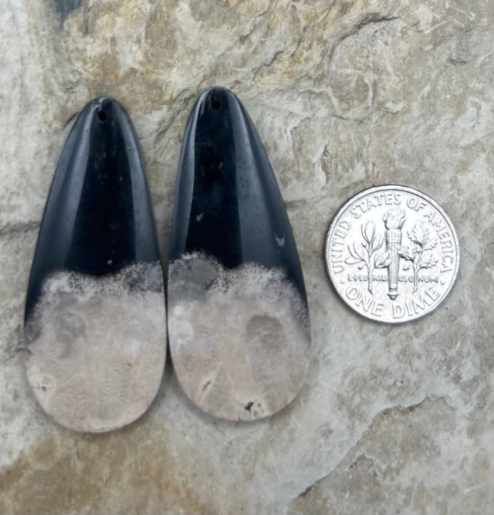 Petrified Palm Root (Indonesia) BIG Matching Earring Slab
