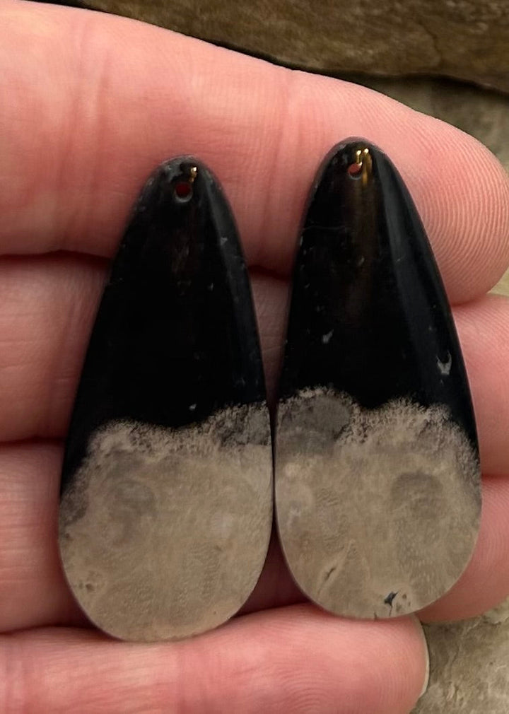 Petrified Palm Root (Indonesia) BIG Matching Earring Slab