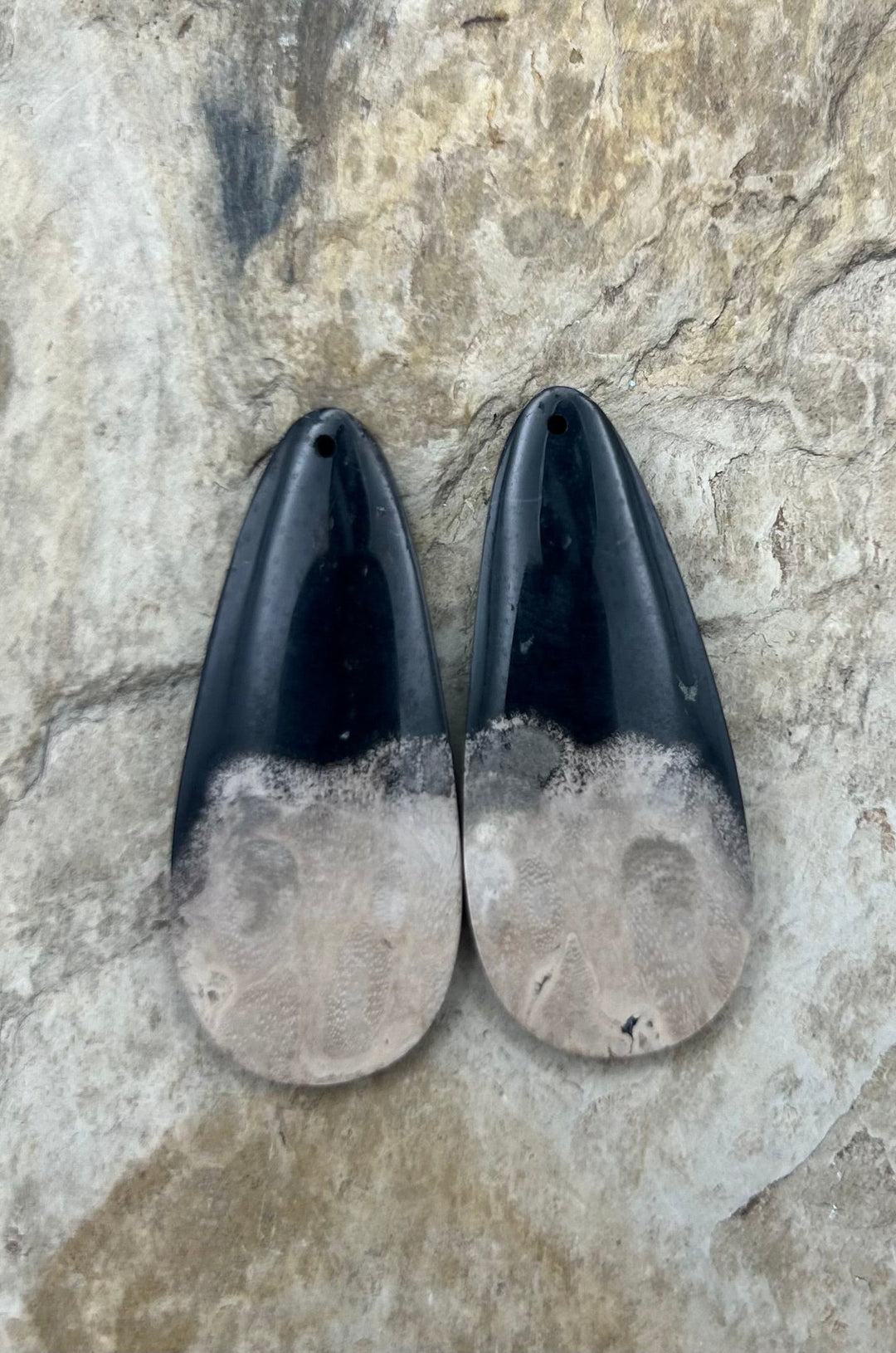 Petrified Palm Root (Indonesia) BIG Matching Earring Slab