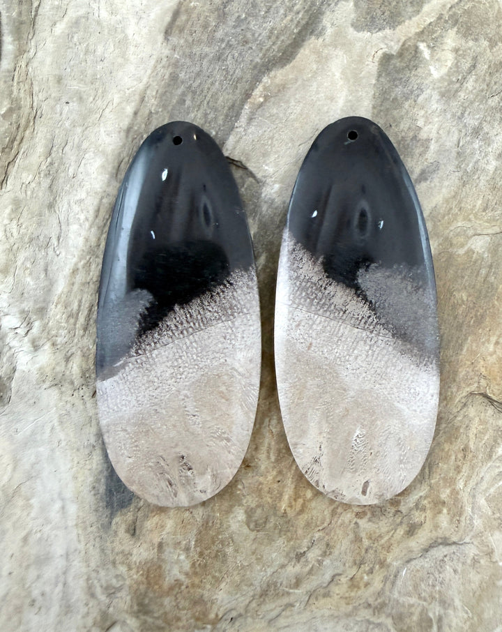 Petrified Palm Root (Indonesia) BIG Matching Earring Slab