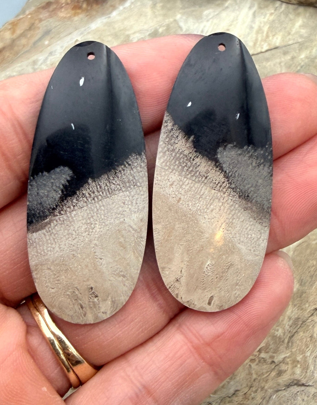 Petrified Palm Root (Indonesia) BIG Matching Earring Slab