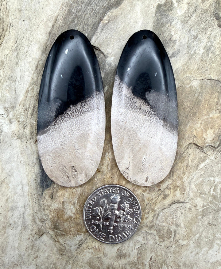 Petrified Palm Root (Indonesia) BIG Matching Earring Slab