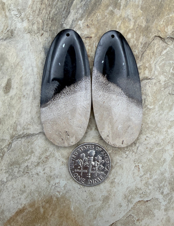Petrified Palm Root (Indonesia) BIG Matching Earring Slab