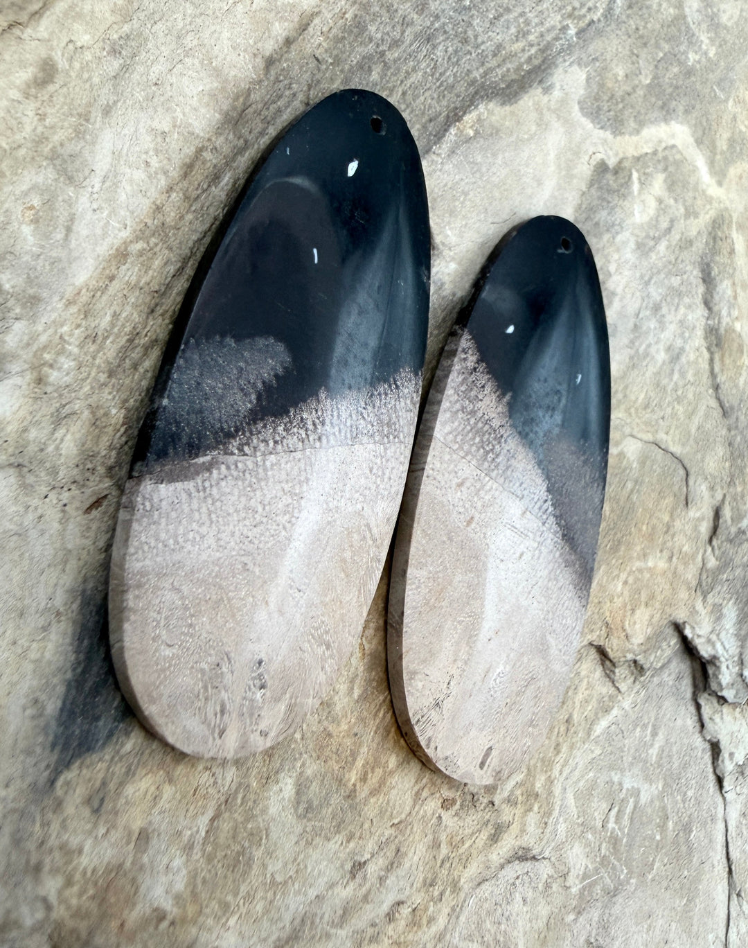 Petrified Palm Root (Indonesia) BIG Matching Earring Slab