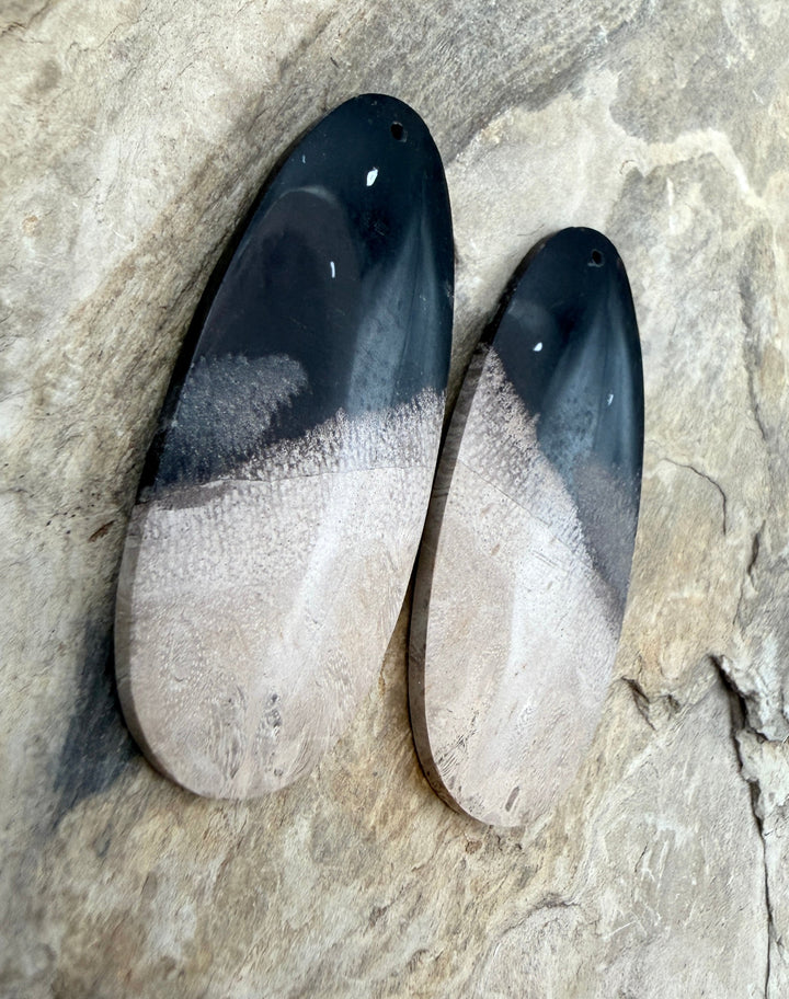 Petrified Palm Root (Indonesia) BIG Matching Earring Slab