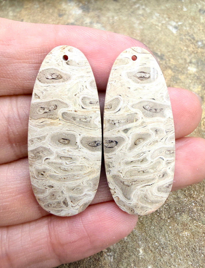 Petrified Palm Wood Matching Earring Slab Bead Pair 16x41mm