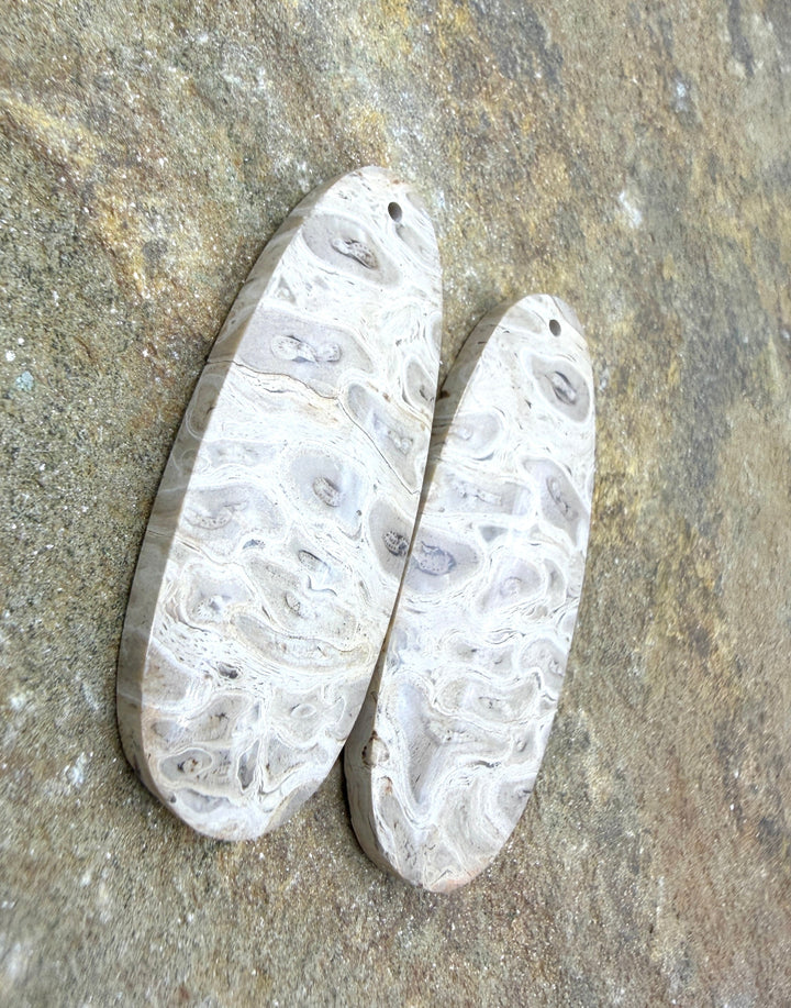 Petrified Palm Wood Matching Earring Slab Bead Pair 16x41mm