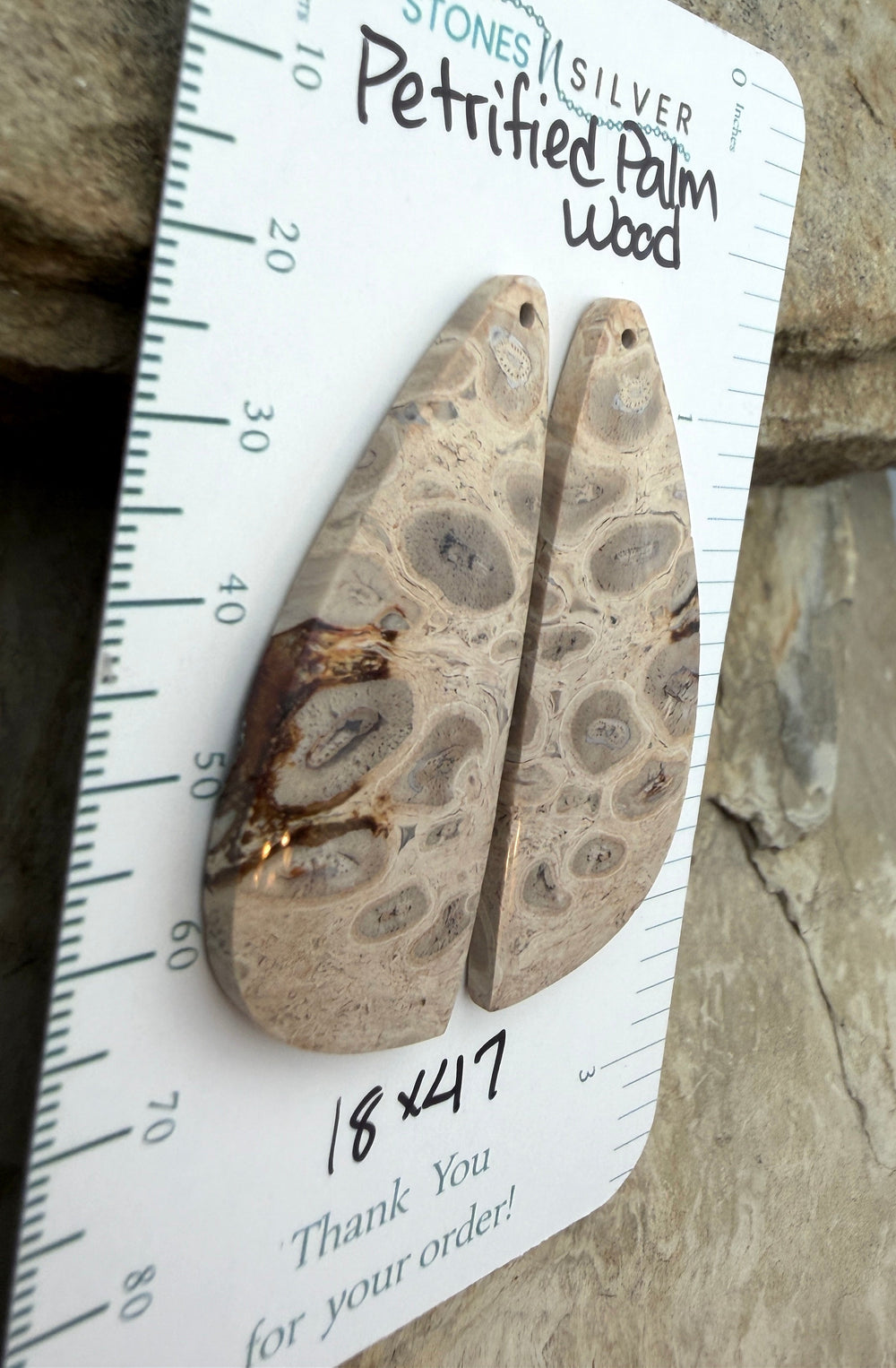 Petrified Palm Wood Matching Earring Slab Bead Pair 18x47mm