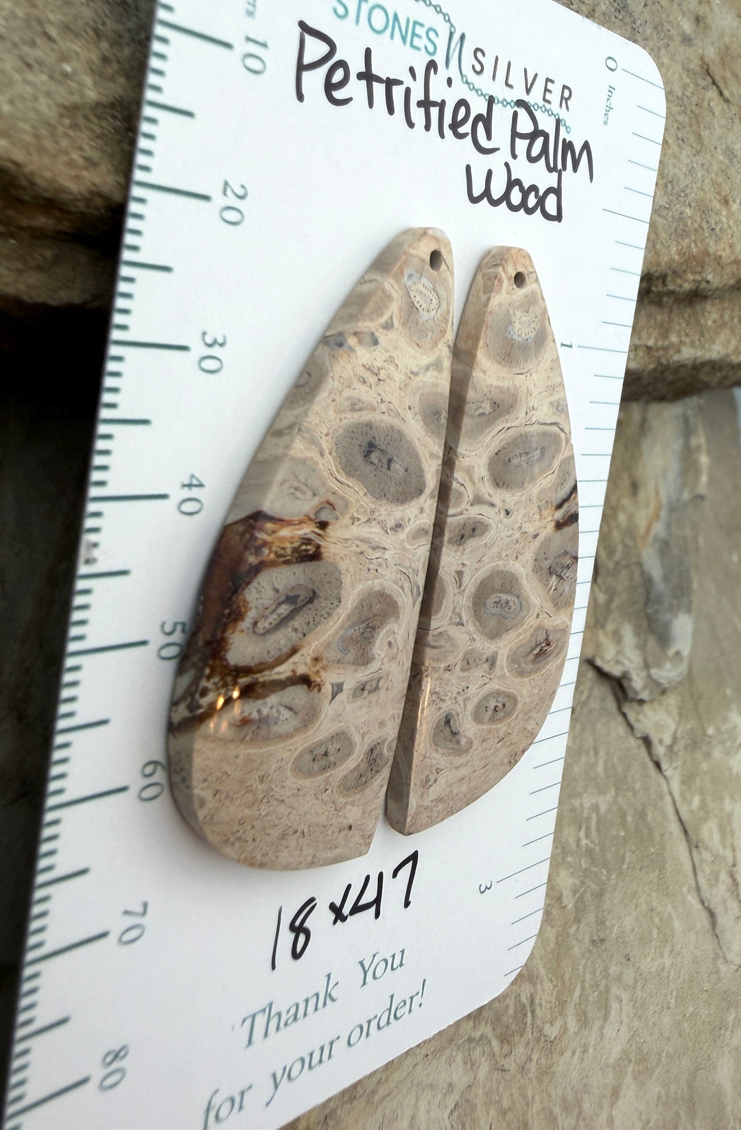 Petrified Palm Wood Matching Earring Slab Bead Pair 18x47mm