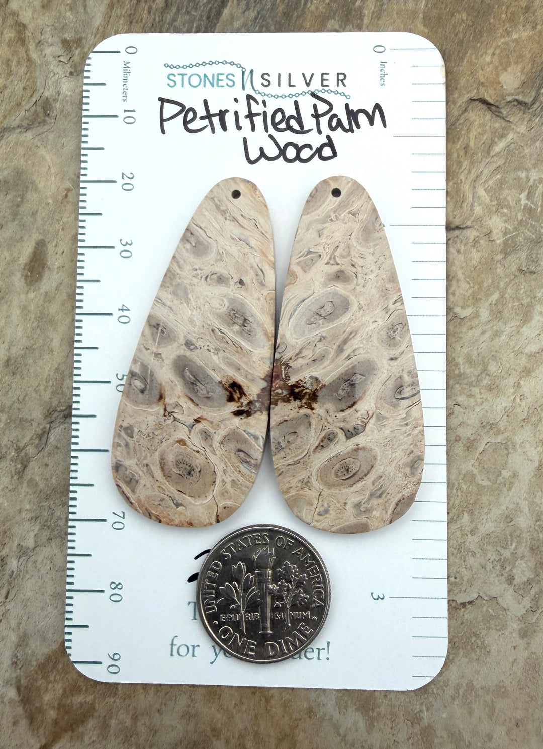 Petrified Palm Wood Matching Earring Slab Bead Pair 20x47mm