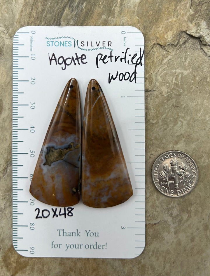 Petrified Wood Agate Matching Earring Slab Pair 20x48mm