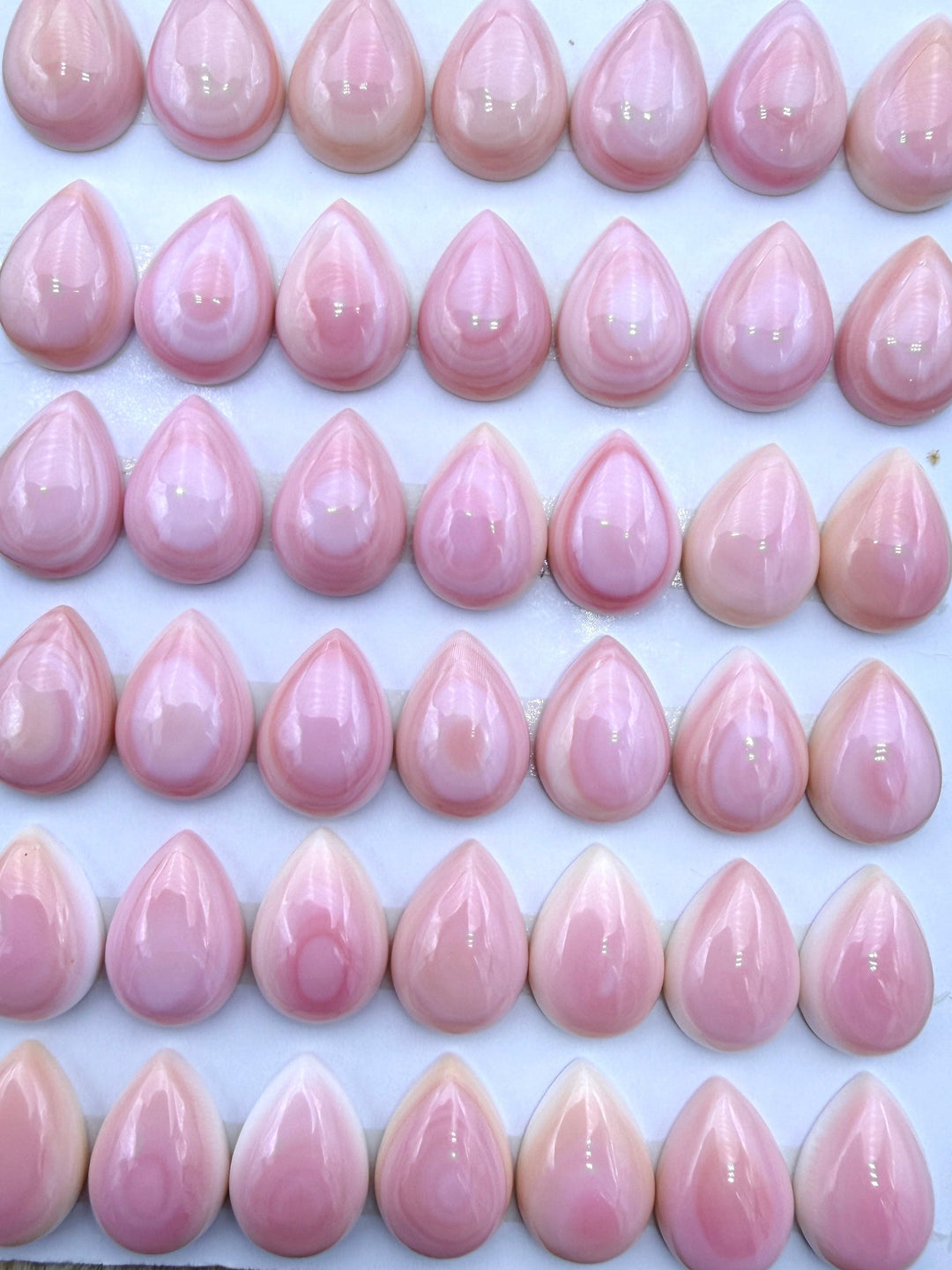 Pink Queen Conch 10x14mm Calibrated Teardrop Cabochons Pack