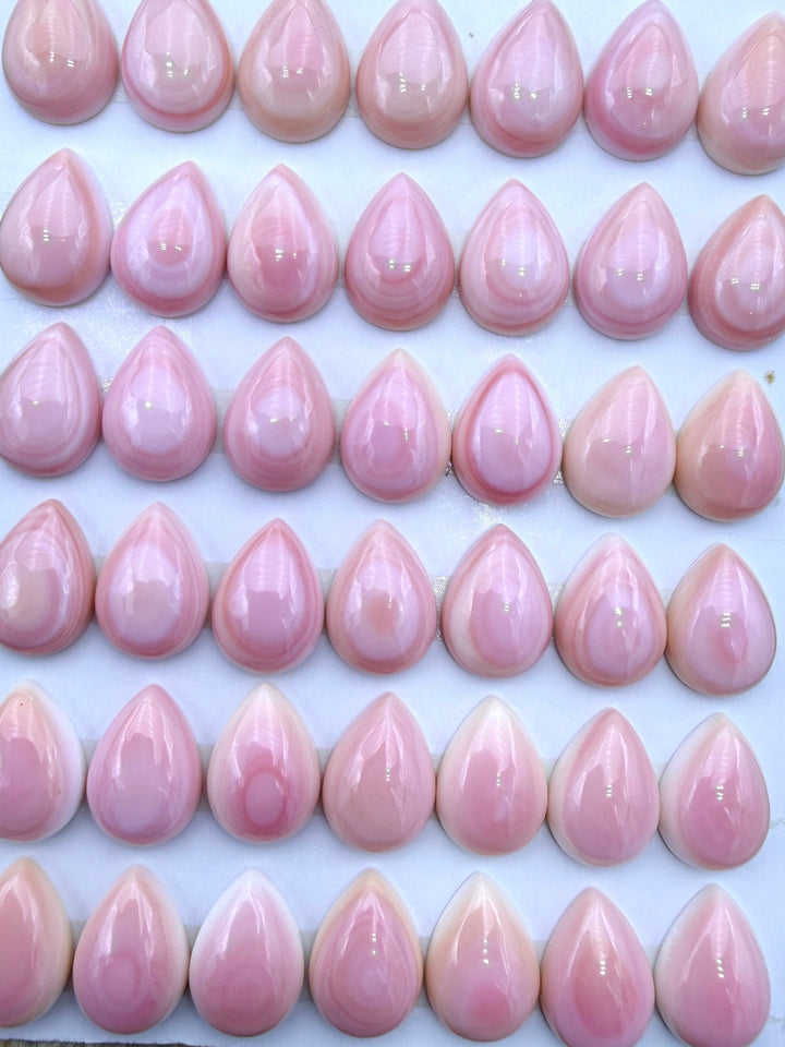 Pink Queen Conch 10x14mm Calibrated Teardrop Cabochons Pack