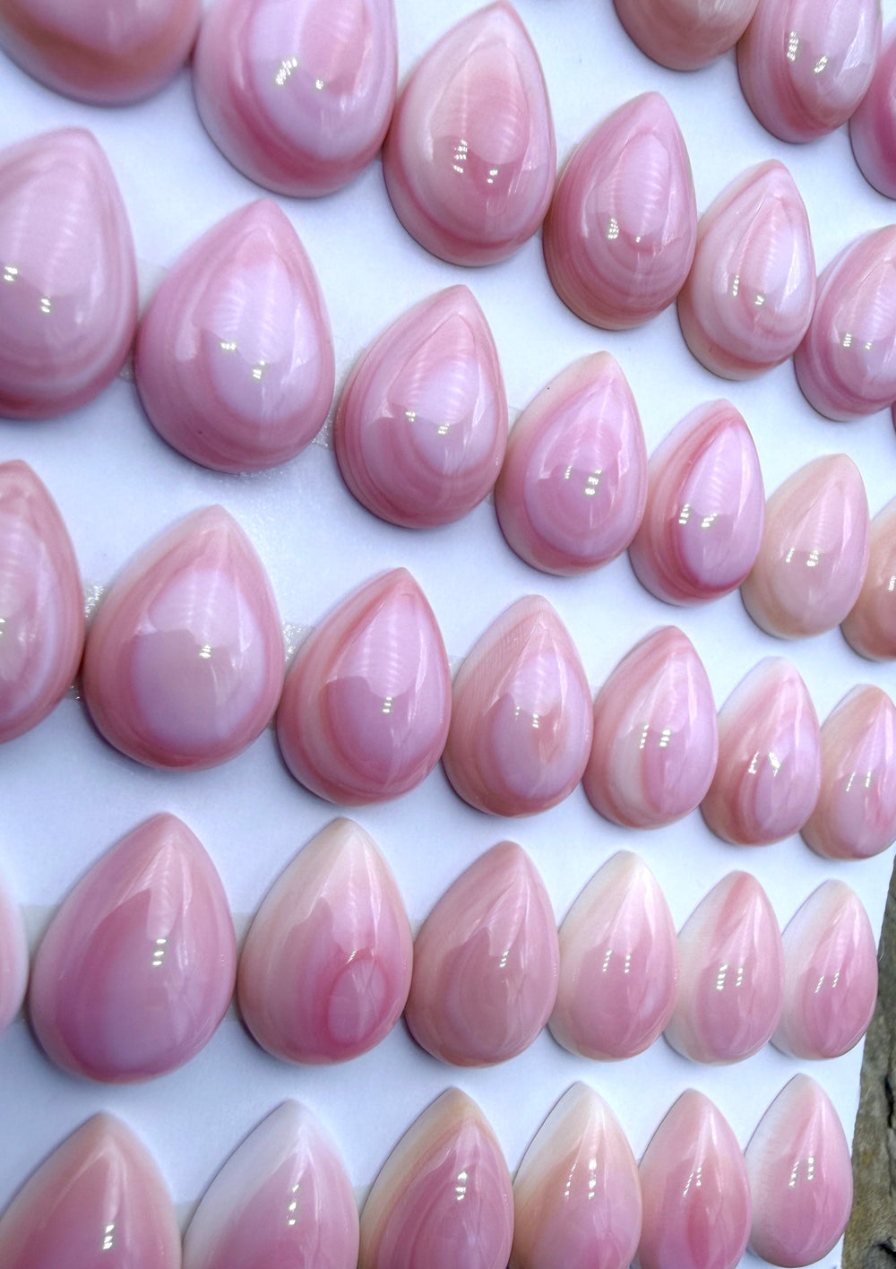 Pink Queen Conch 10x14mm Calibrated Teardrop Cabochons Pack