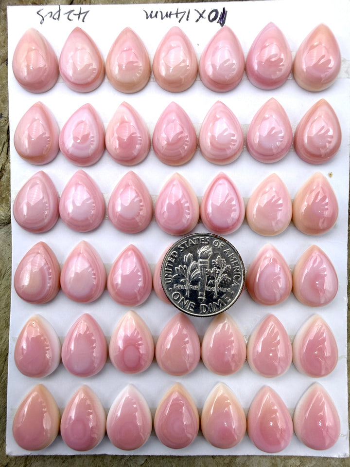 Pink Queen Conch 10x14mm Calibrated Teardrop Cabochons Pack