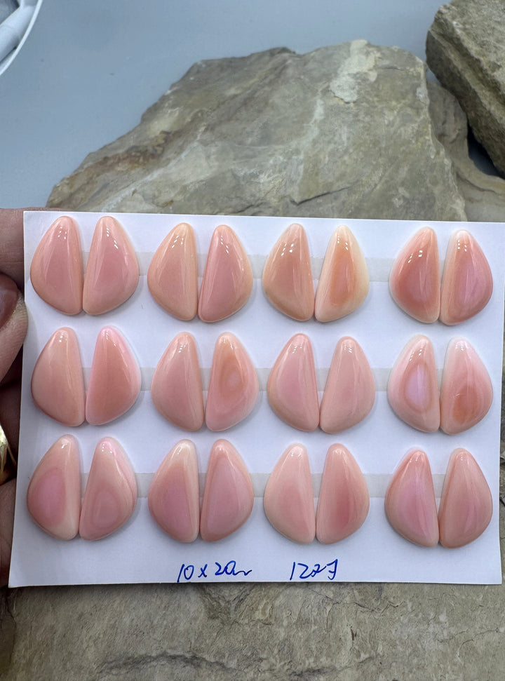 Pink Queen Conch 10x20mm Calibrated Freeform Cabochons