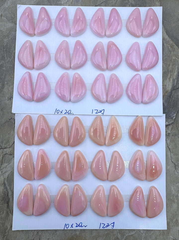 Pink Queen Conch 10x20mm Calibrated Freeform Cabochons