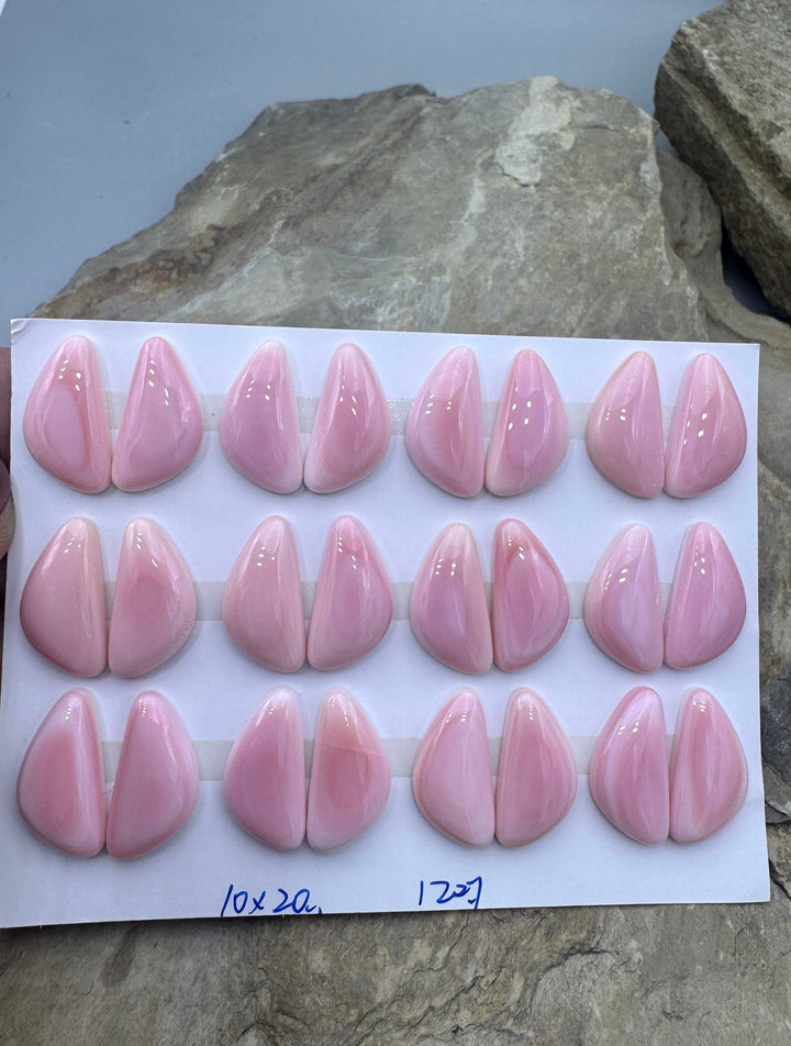 Pink Queen Conch 10x20mm Calibrated Freeform Cabochons