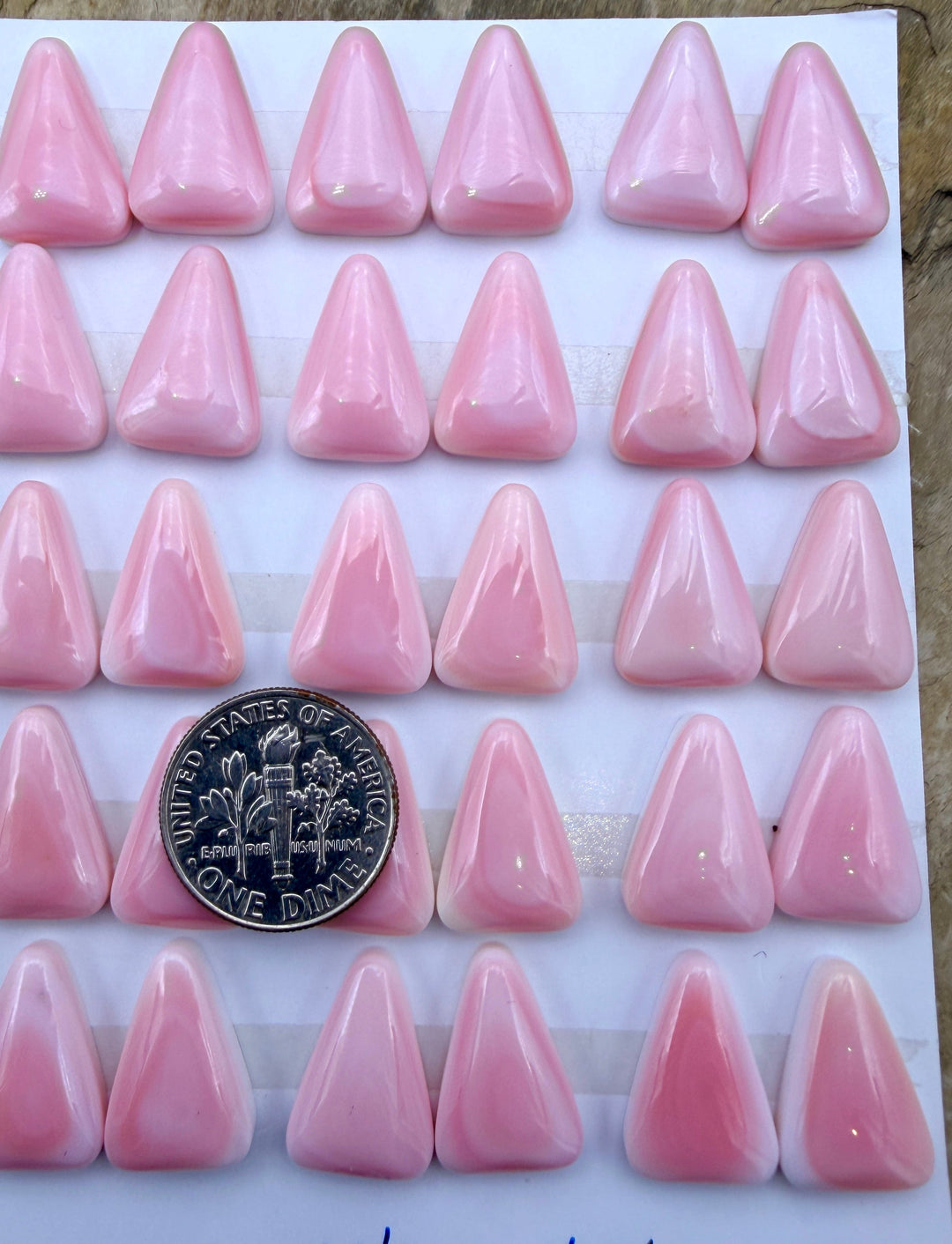 Pink Queen Conch 11x16mm Calibrated Cabochons One Pair (2